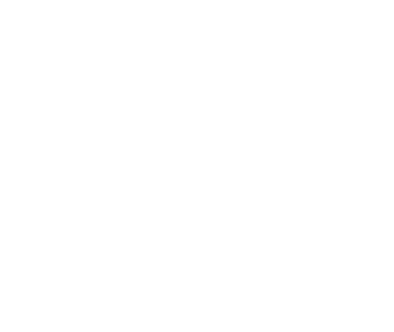 Tampa Sports & Wellness Chiropractic runner logo